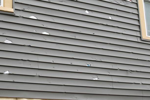 Trusted Trinity, TX Siding Installation & Repair Experts