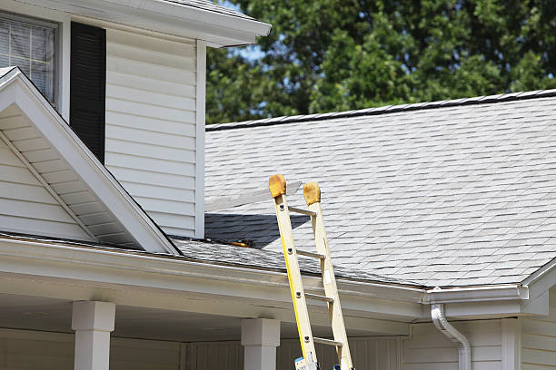 Best Fiber Cement Siding Installation  in Trinity, TX