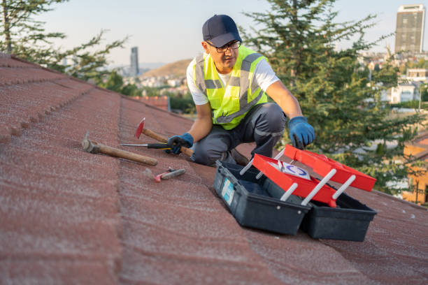 Best Fascia and Soffit Installation  in Trinity, TX